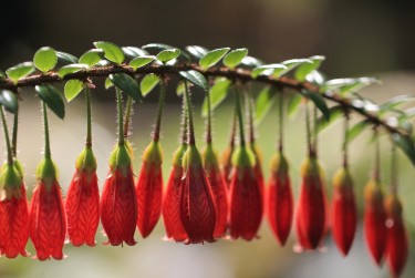 肇庆端州区2私人快速借钱网，轻松解决资金难题