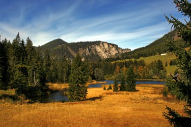 肇庆端州区2民间私贷攻略：揭秘低成本借贷的秘密