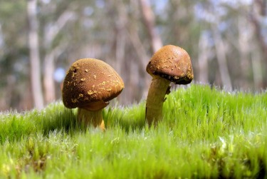 肇庆端州区2私人老板放款：轻松融资的秘密通道